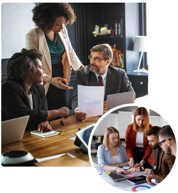 SAP consulting